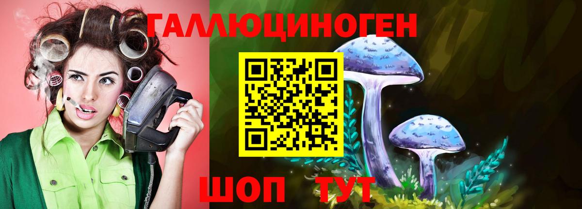 Аксай  Галлюциногенные грибы GOLDEN TEACHER  Вход с VPN 